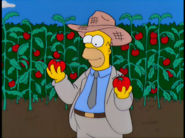 Симпсоны 11 сезон 5 серия