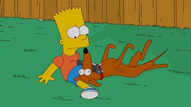 Симпсоны 22 сезон 7 серия